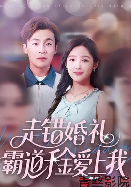 走错婚礼霸道千金爱上我